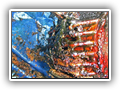 port_talbot_dc_17